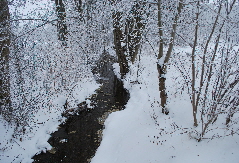 Wintermotiv Kerbscher Berg (13)